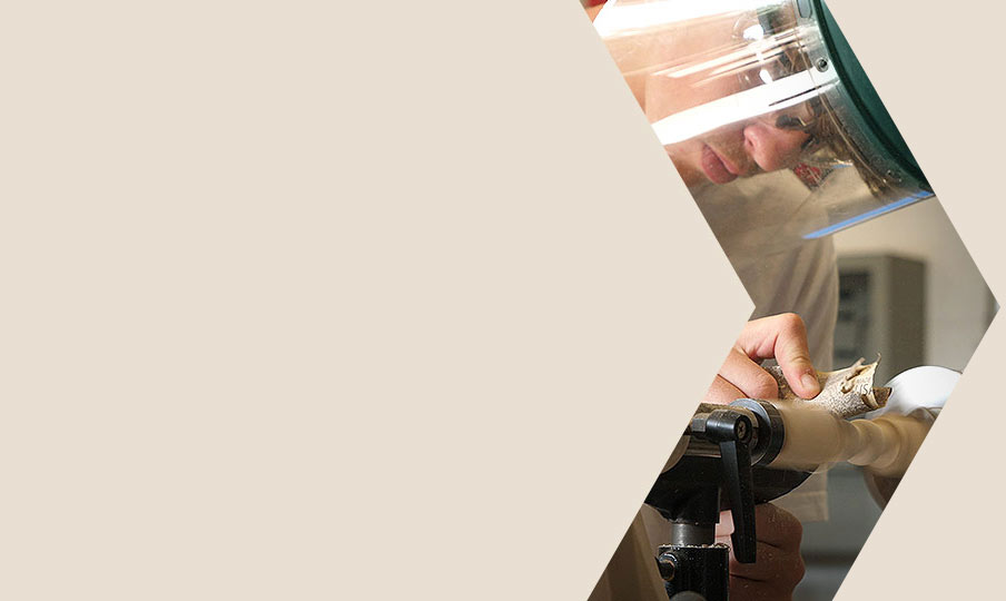 a fourth banner showing a photo from our schools program