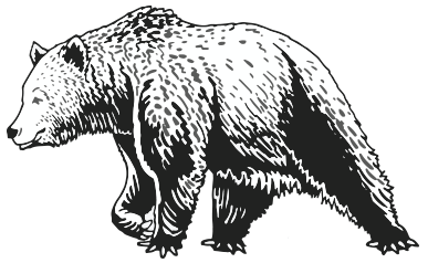Grizzly image